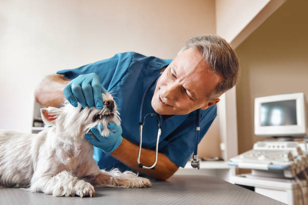 Best Walk-In Emergency Dentist in Los Altos, CA